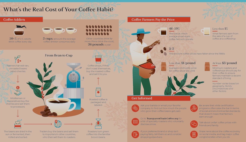 Infographic of the coffee production cycle and statistics about coffee prices.