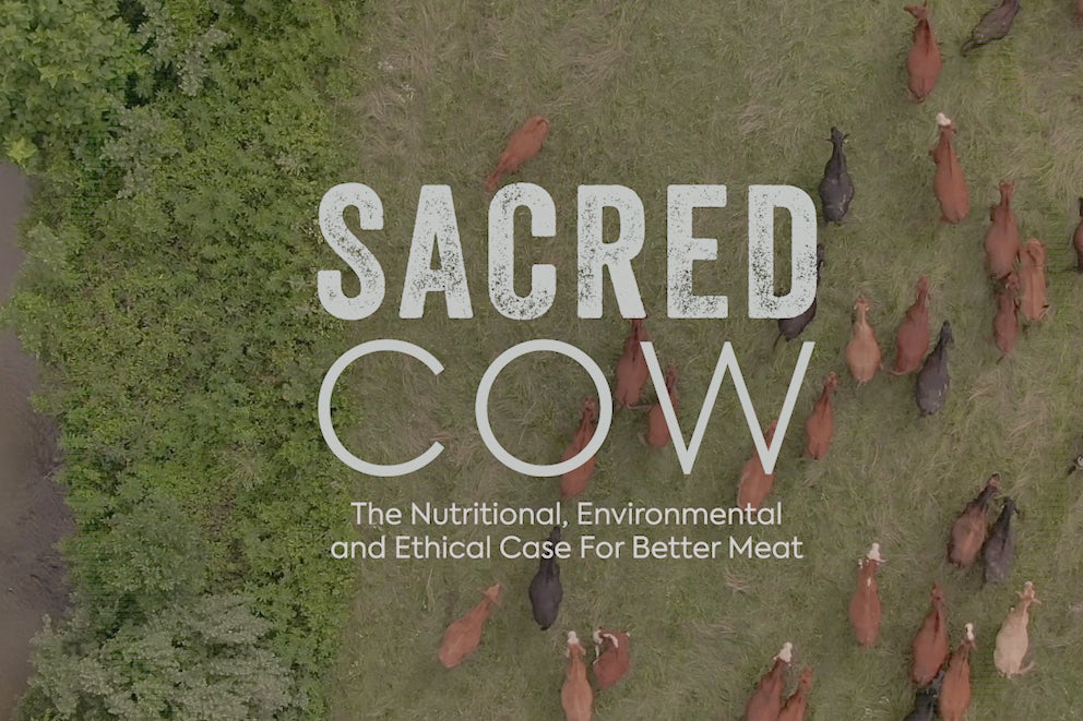 Sacred Cow Documentary Makes the Case That Beef is Good for You, the Environment.