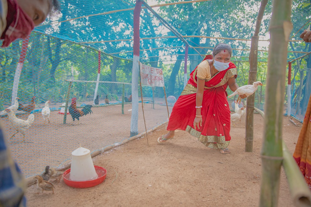 Nibedita Tudu earns an income for her family by producing chickens using low-cost yet nutritious chicken feeds that are easy to grow. Photo Pranab K. Aich/Heifer International