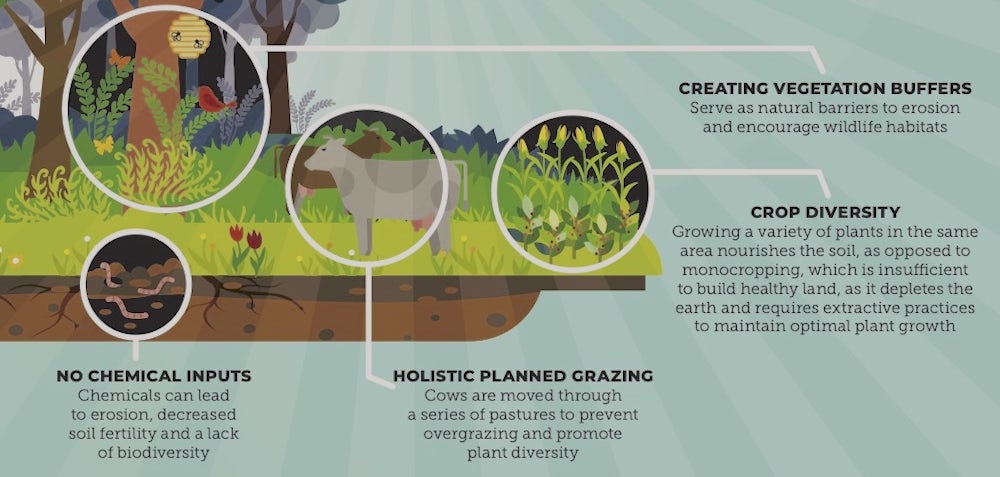 examples of regenerative agriculture