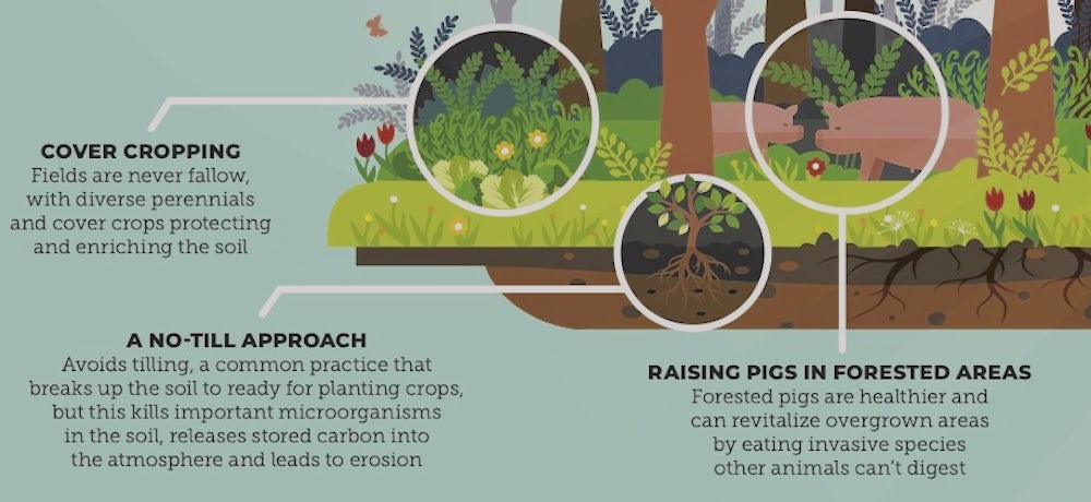 examples of regenerative agriculture