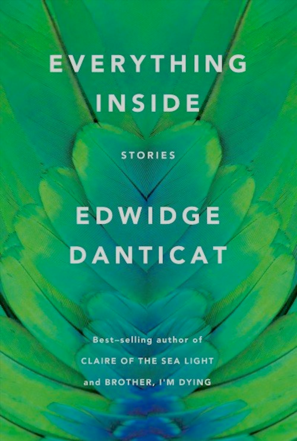 Cover of Everything Inside