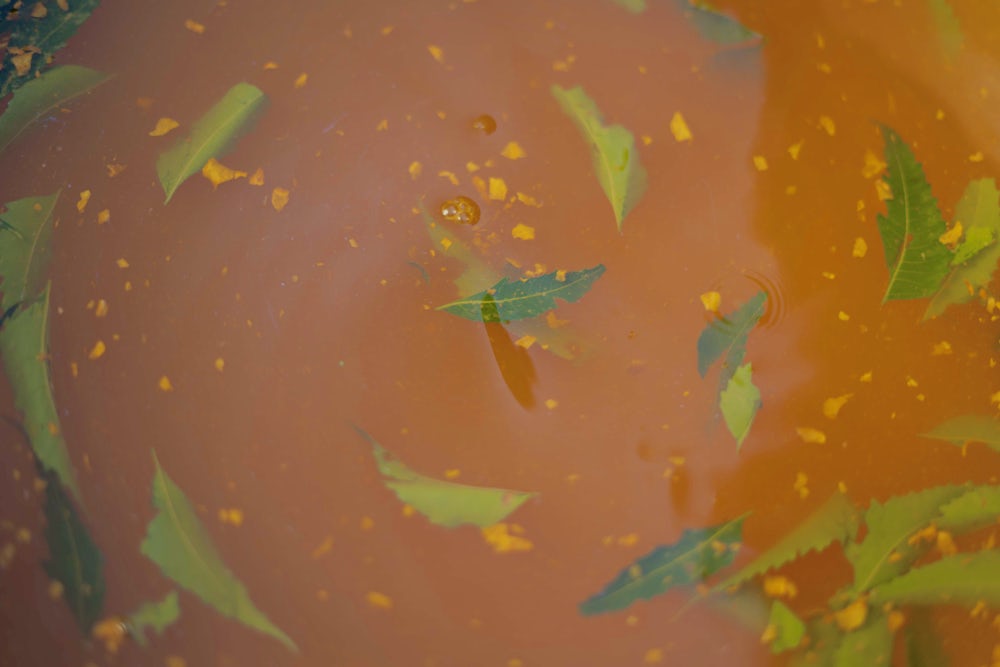 An orange liquid with green leaves swirls in a bowl.