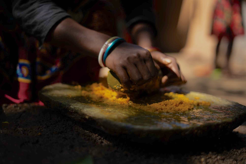 A close up shot of two hands cutting turmeric, an orange substance.