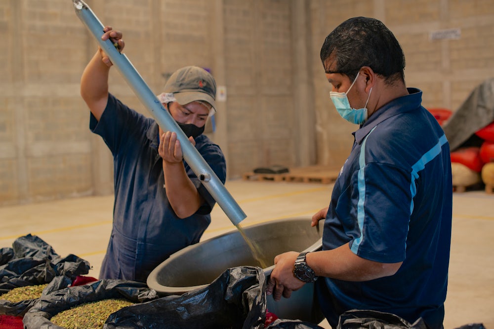 Two men at a cardamom processing facility move some seeds into a barrel for quality testing.
