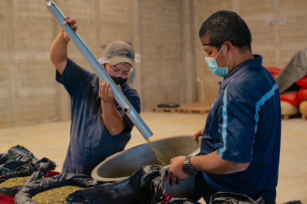 Two men at a cardamom processing facility move some seeds into a barrel for quality testing.