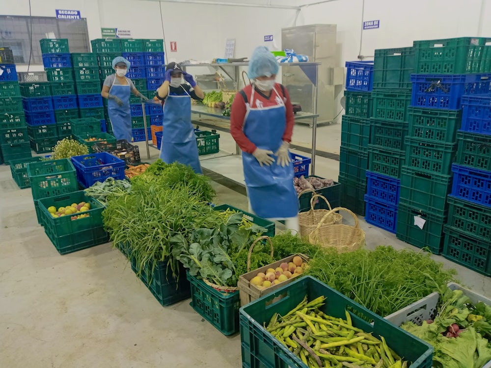 Agricultural workers wearing masks and hair nets package produce.