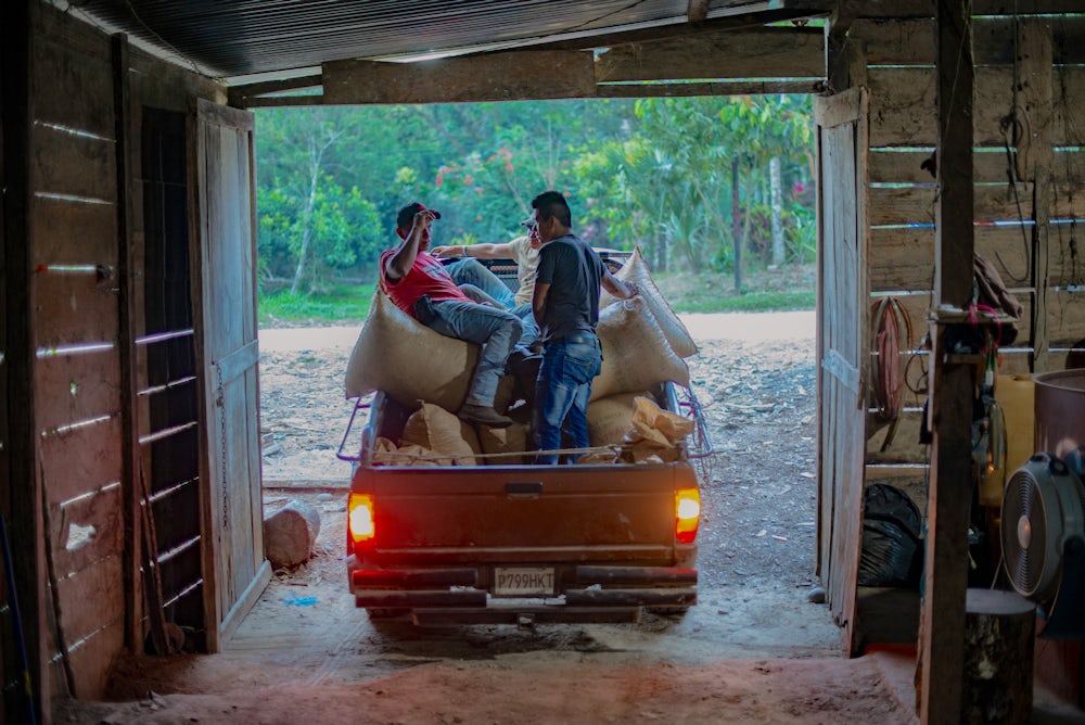 Three cardamom producers sit on full sacks of the spice in a truck bed.