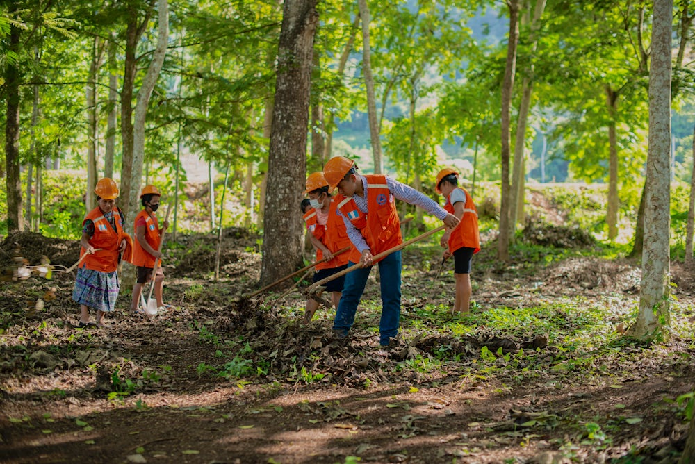 A group of people wearing bright orange vests are working on the forest floor to reduce the risk of forest fires.