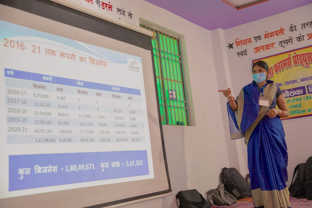 A woman giving a presentation in a meeting.