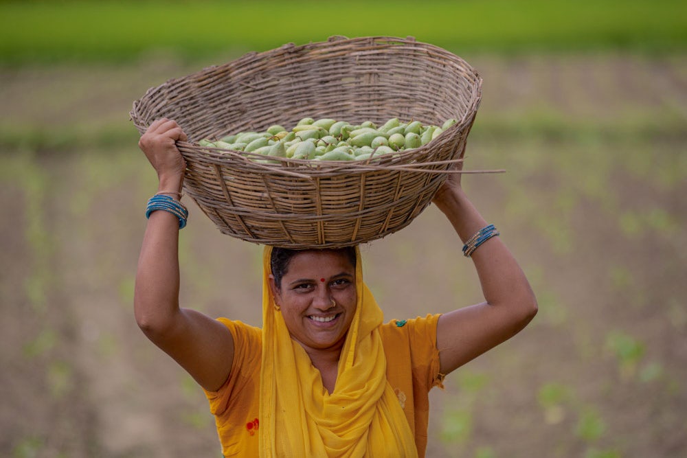 A Nepali woman dressed in yellow carries a woven basket full of green gourds on her head.