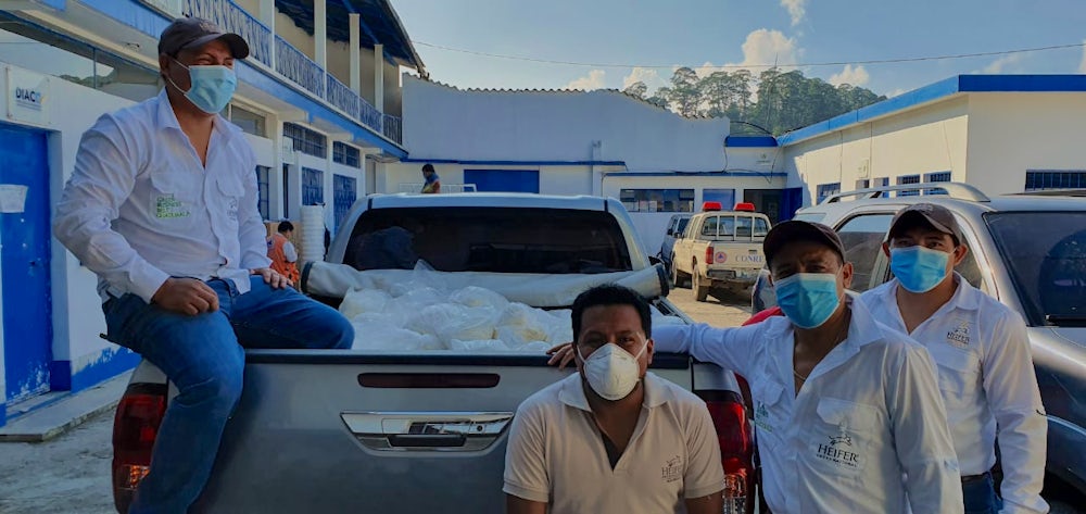 Heifer Guatemala staff are supporting emergency relief efforts in the wake of Hurricanes Eta and Iota. Image by Gerson Coy.
