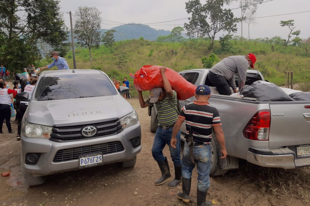 Heifer Guatemala, in partnership with COMRED, distributes food to victims of Hurricanes Eta and Iota.