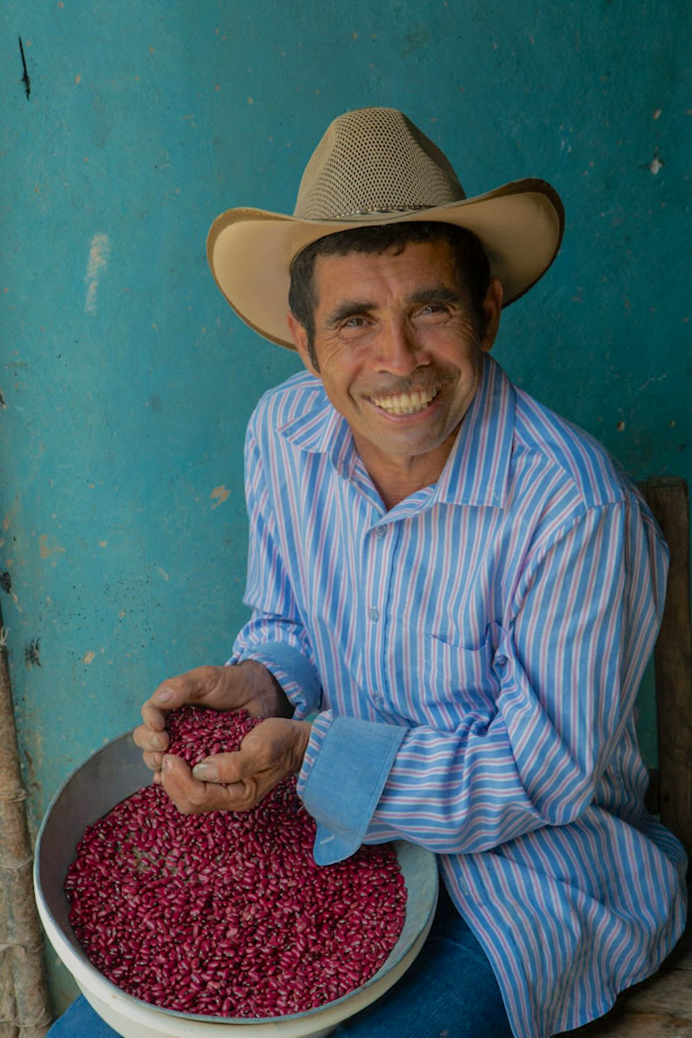 A farmer holds beans in his hands.