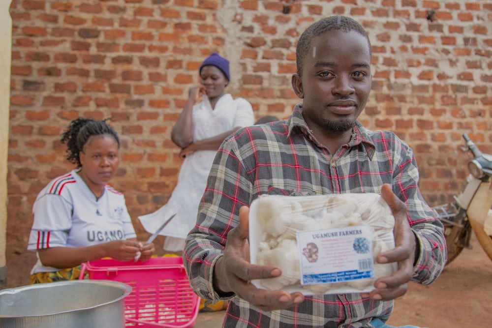 A young male farmers holds a package of mushrooms.