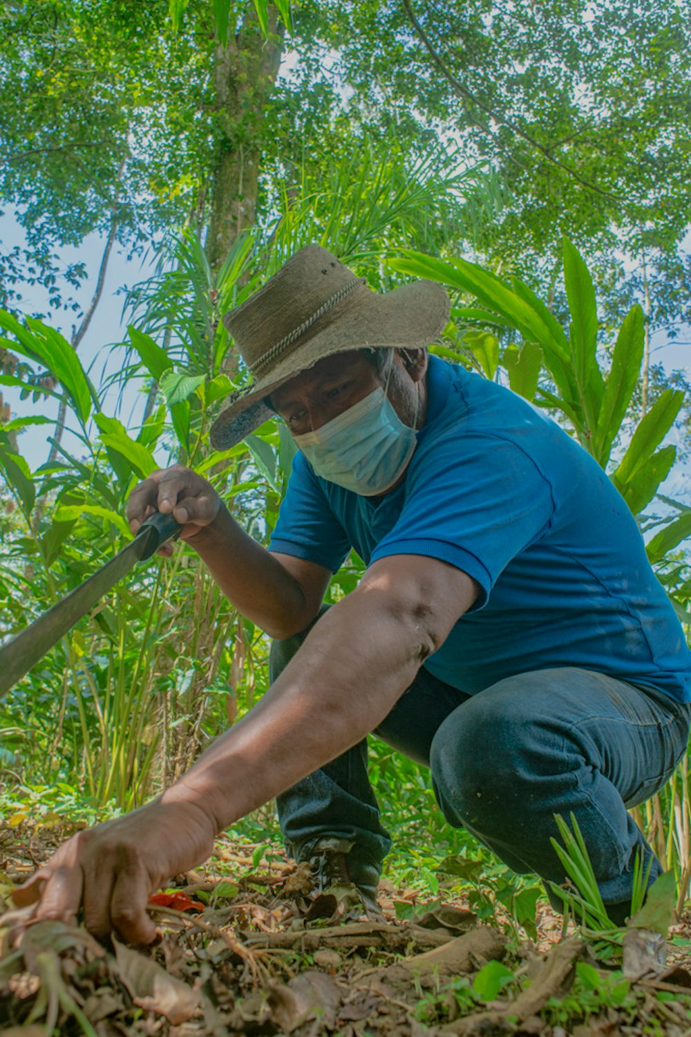 A farmer works the land in Alta Verapaz, Guatemala.