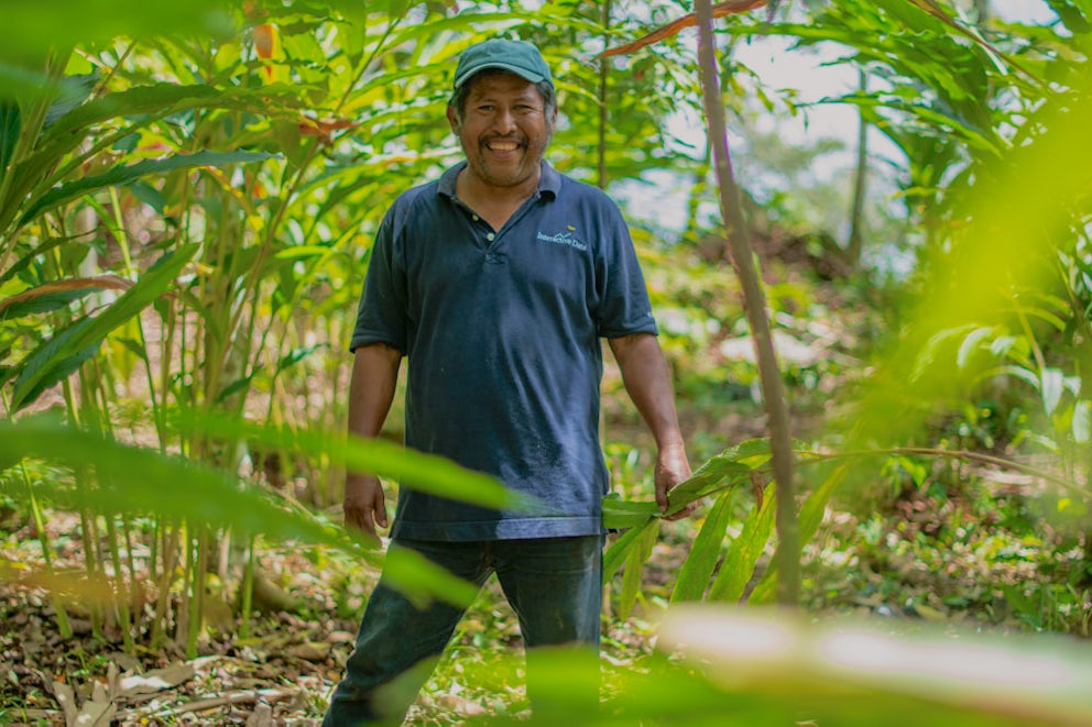 A farmer stands in the forest where he grows cardamom.