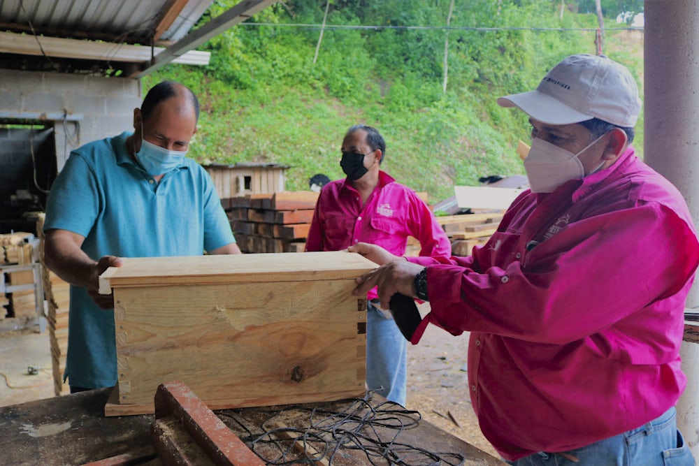 Three men stand around a beekeeping workshop in Honduras.