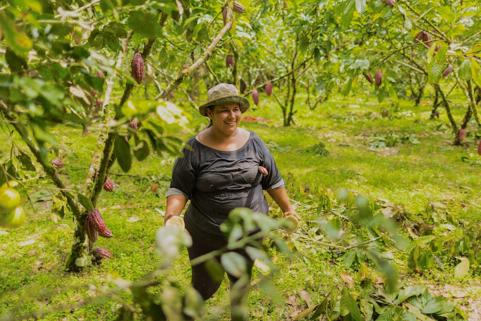 Farmer Innovation Leads to World-Class Chocolate in Ecuador.