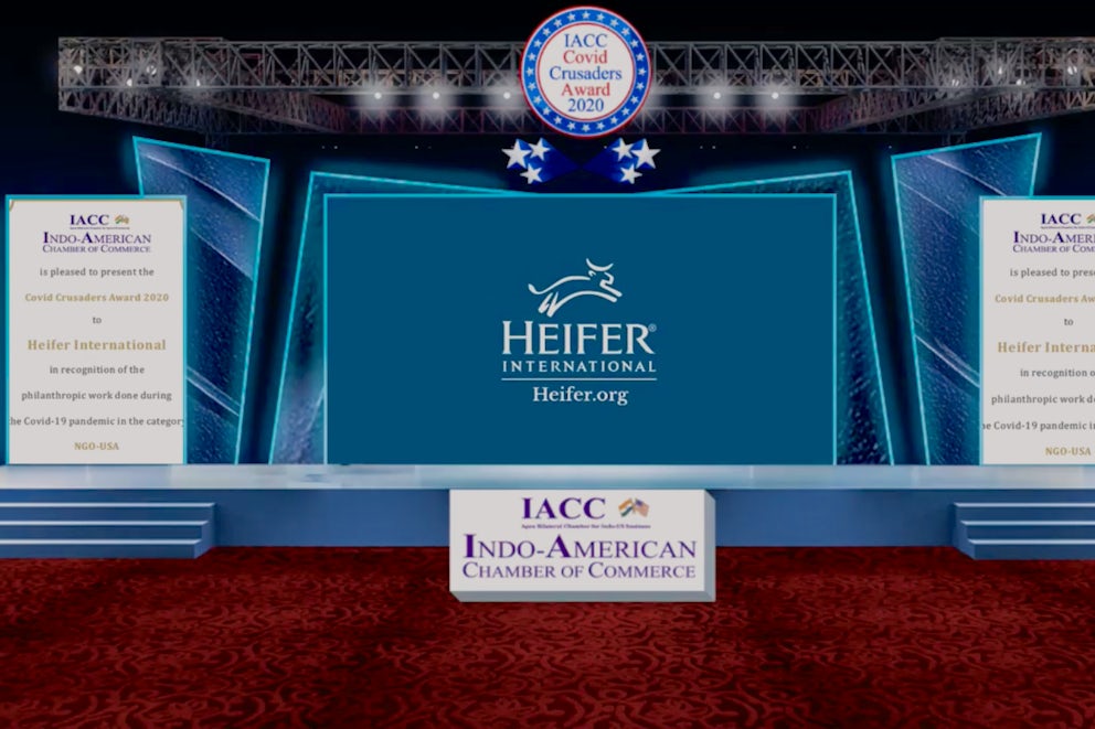 A screenshot from the Covid Crusaders virtual award ceremony