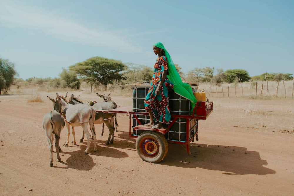 People bring donkey carts to collect water from the borehole in Younoufere. Photo by Lacey West.