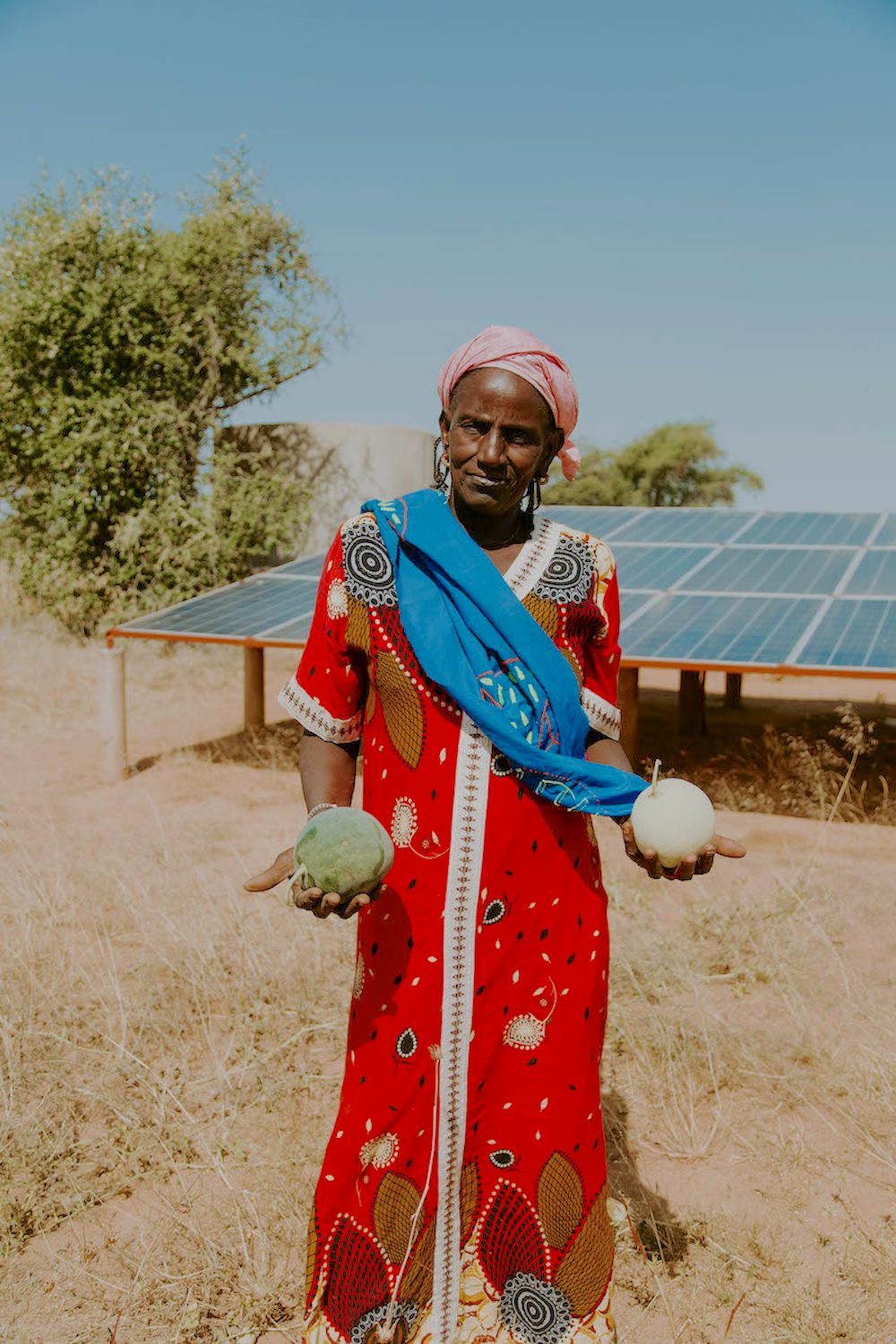 Penda Sow stands in front of the solar panels that power the water pump at a community garden tended by the women of Younoufere. Photo by Lacey West.