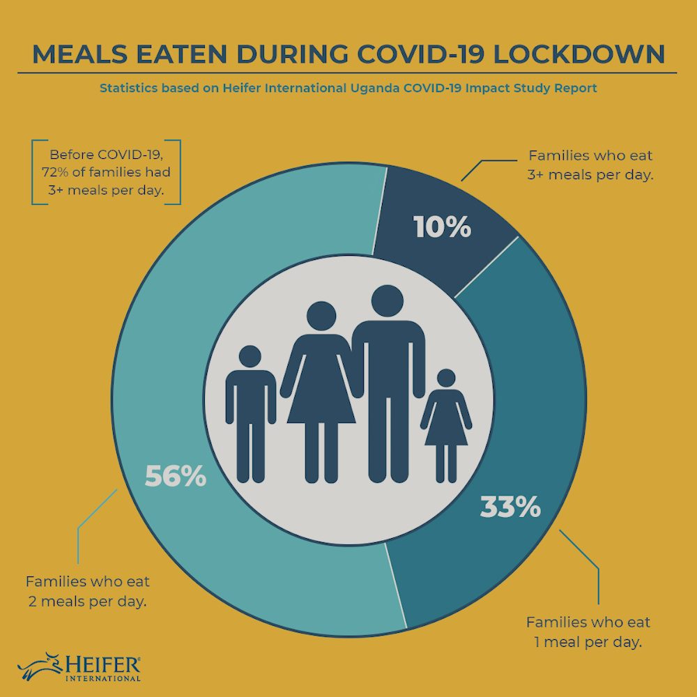 a graphic representing the info presented in this blog