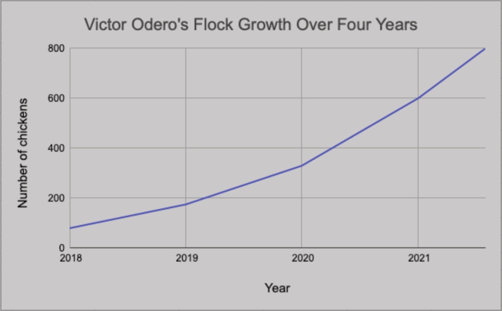 A graph shows Odero's flock size increasing from 80 to 800 since 2018.