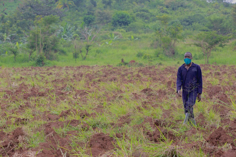 A youth farmer walks through his field in Uganda.