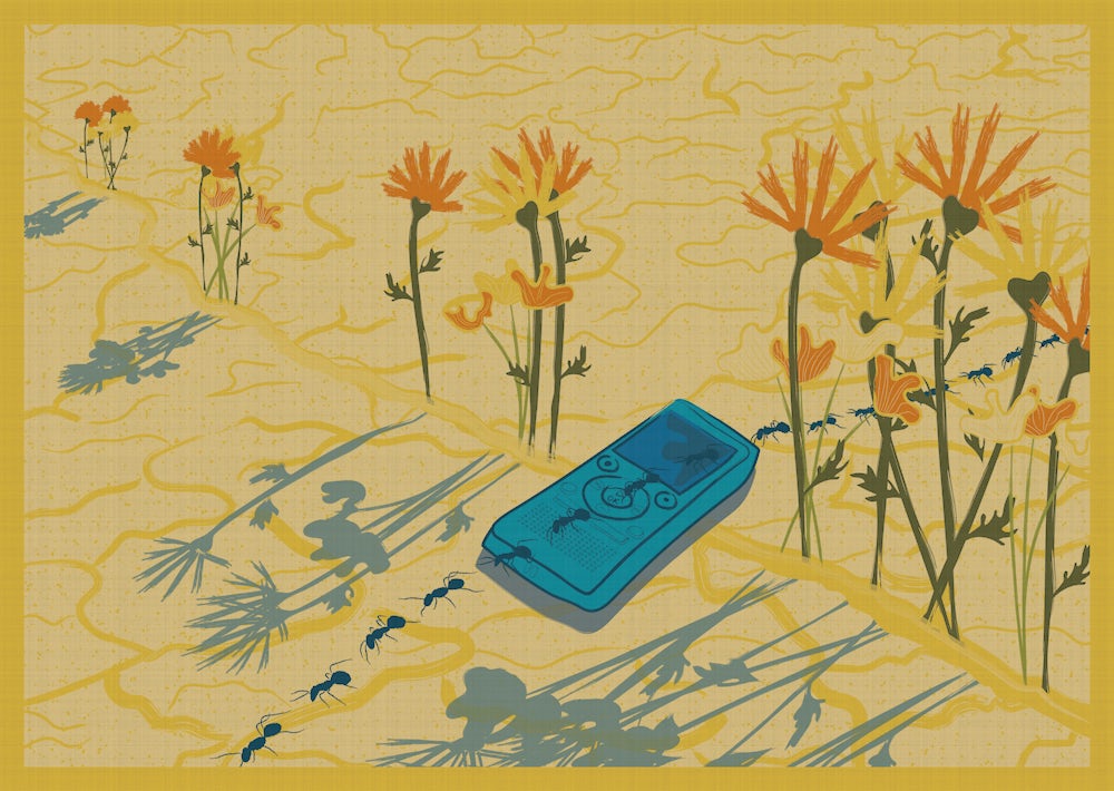 Illustration of ants in line walking over an electronic device