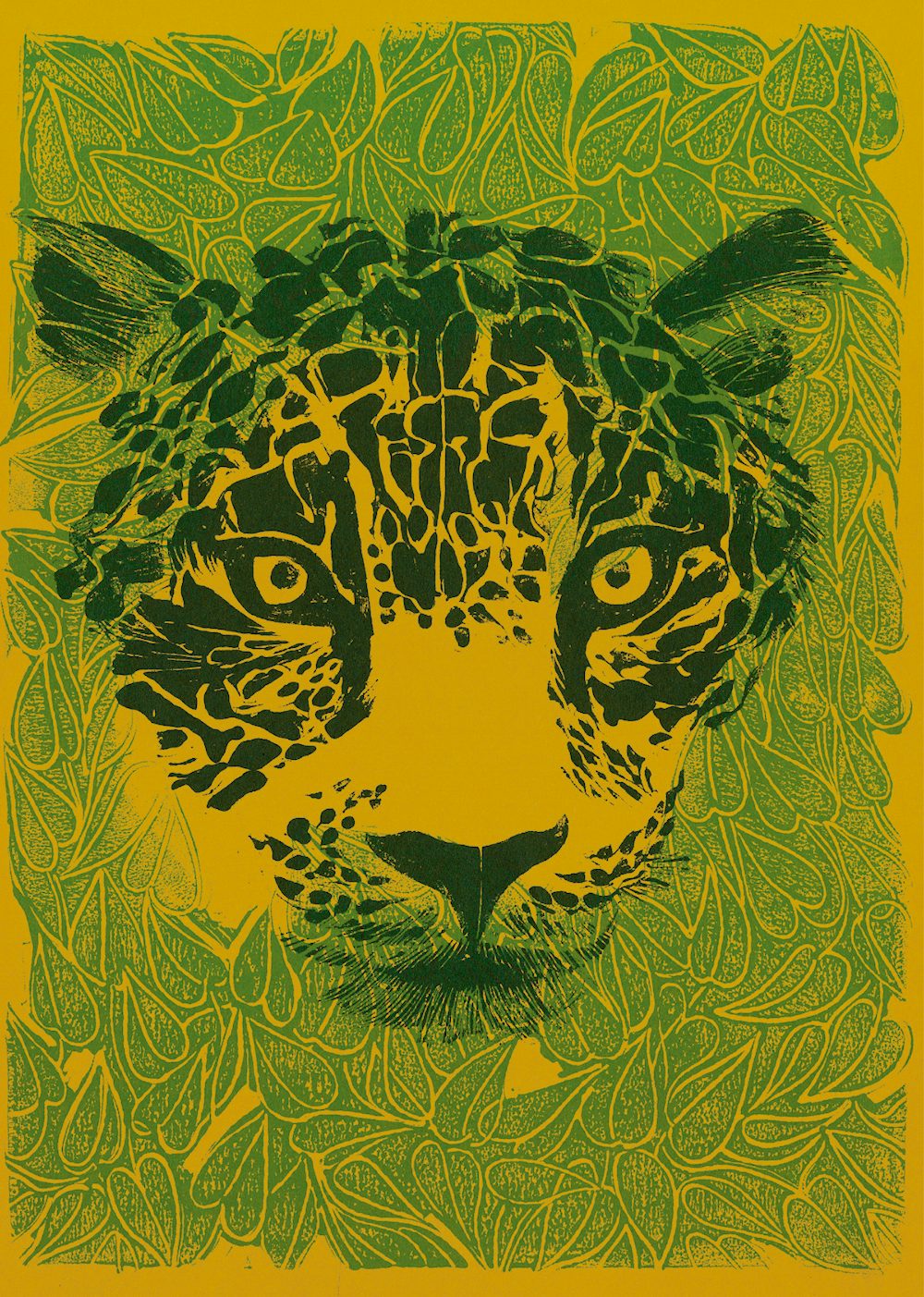 An illustration of a jaguar's face from The Jungle by Helen Borten