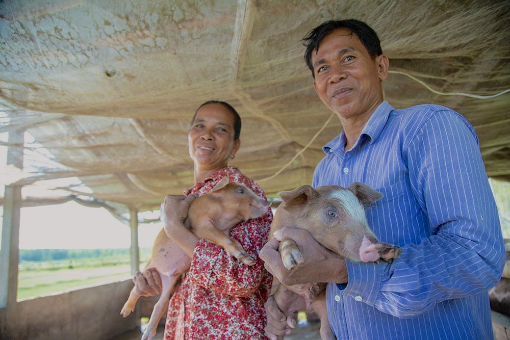 Farmers with Pigs