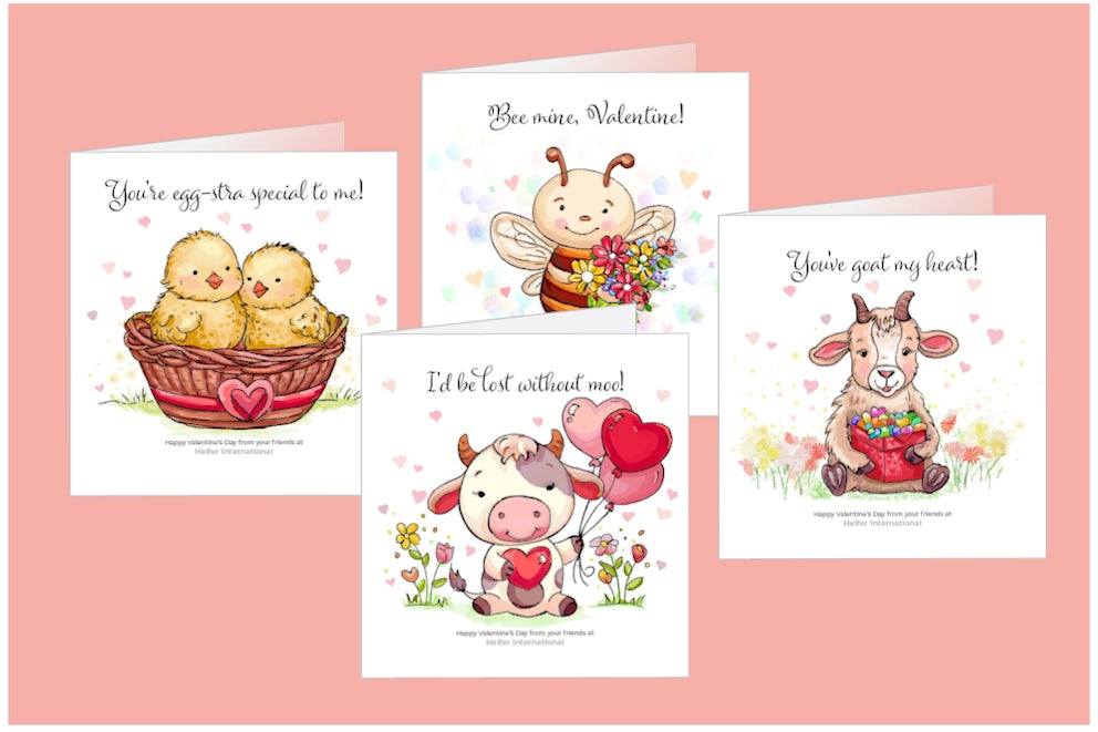 Examples of our card options.