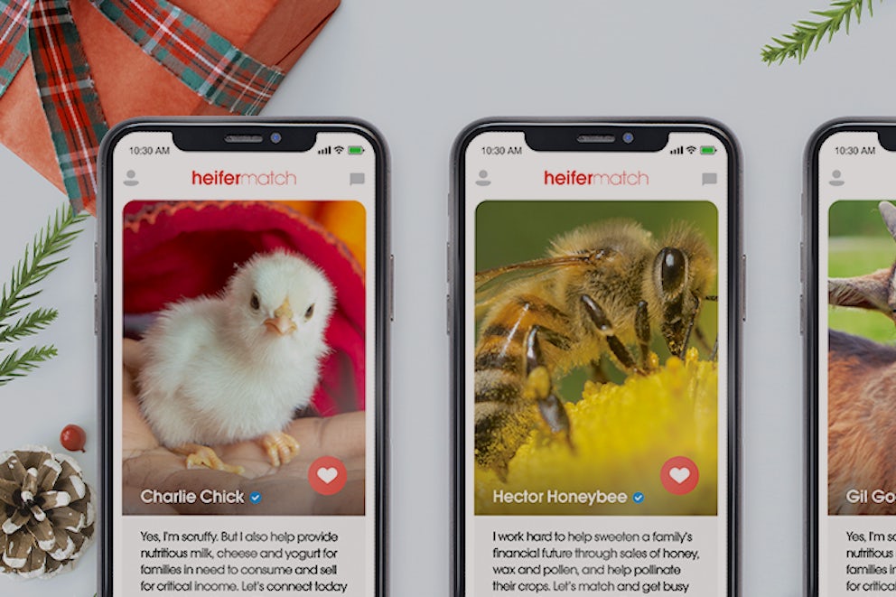 Three phone screens showing three different matches of animals