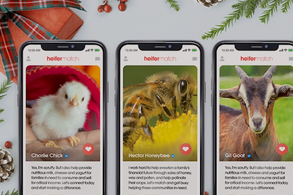 Image of cell phones showing animals