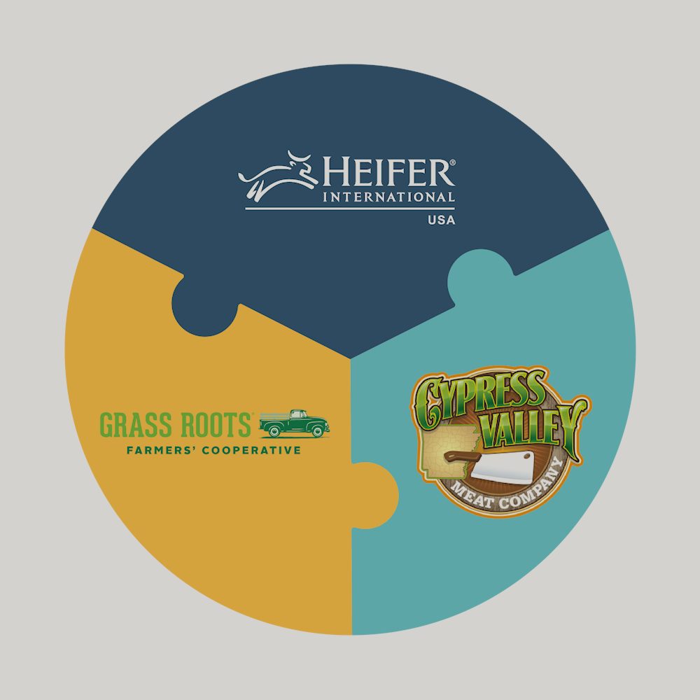 diagram of Heifer partners