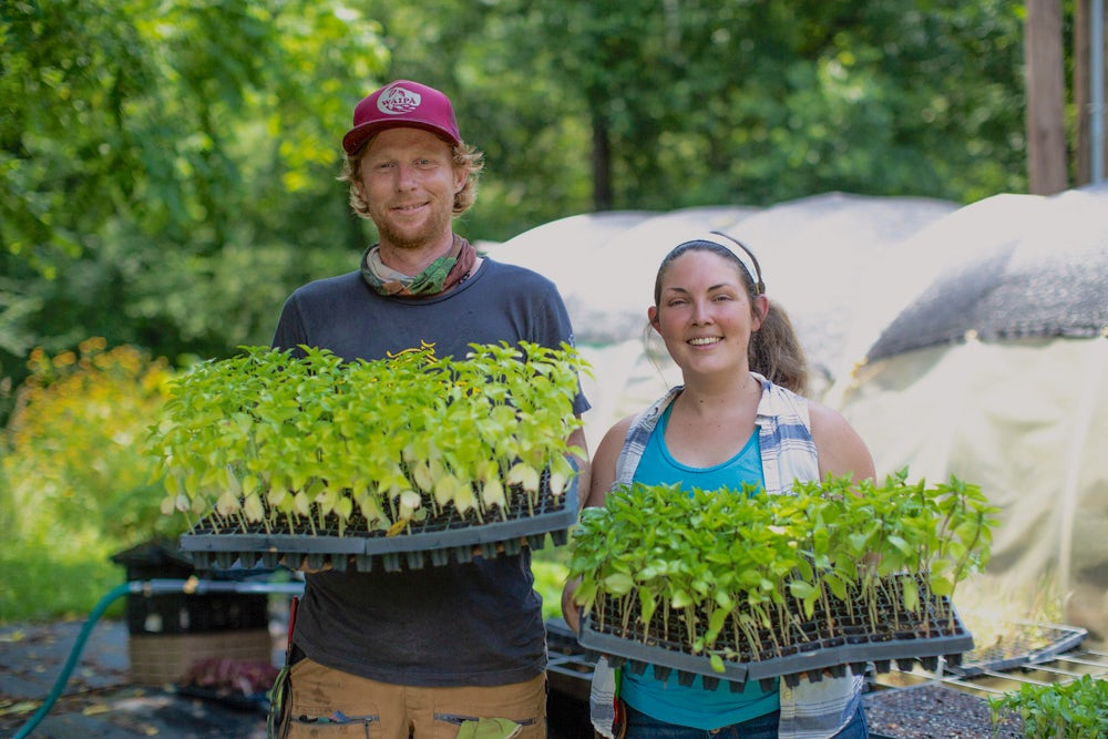 blue mountain farm