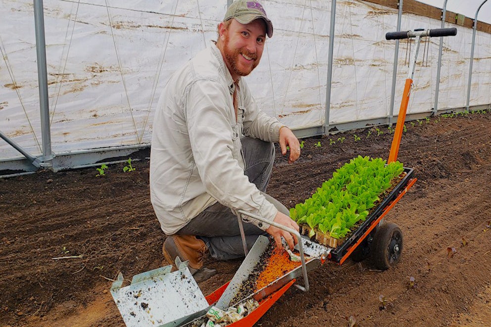 man planting seedlings