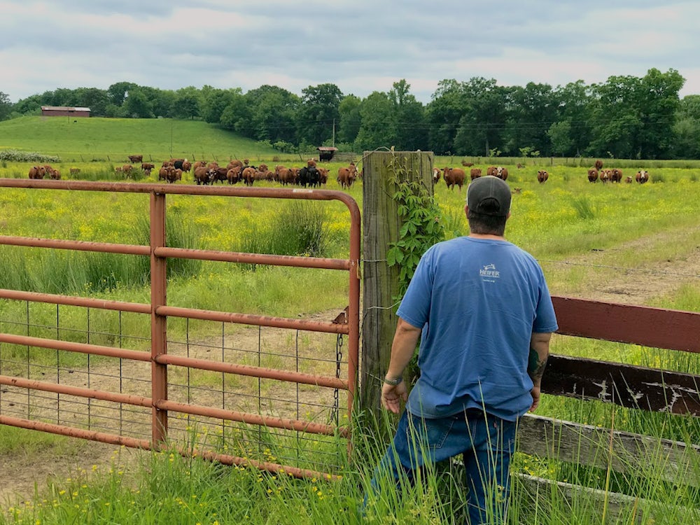 man standing in field