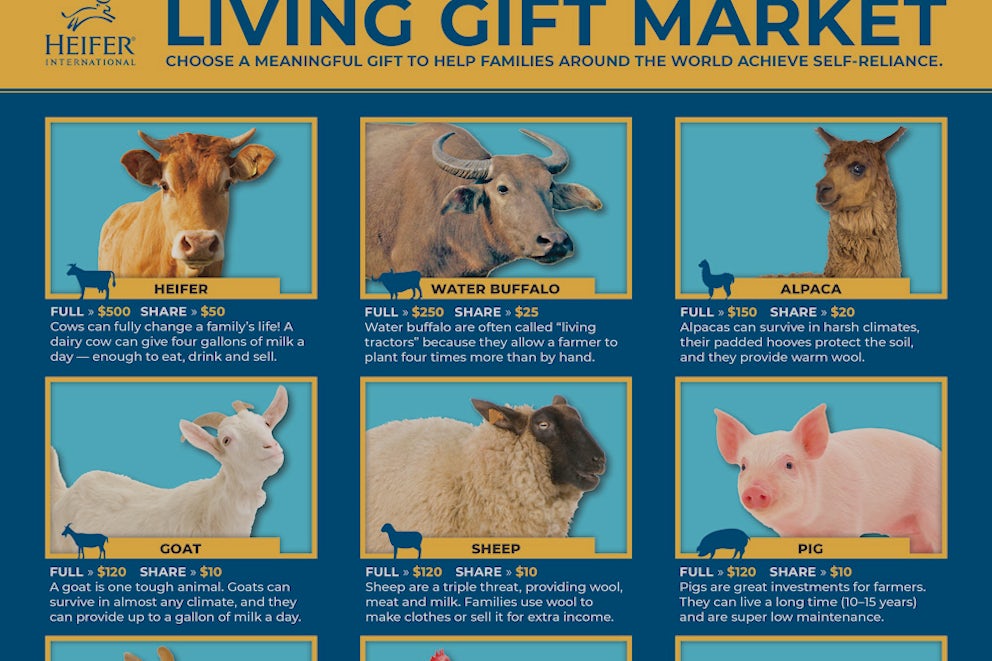 Living Gift Market poster with animal facts