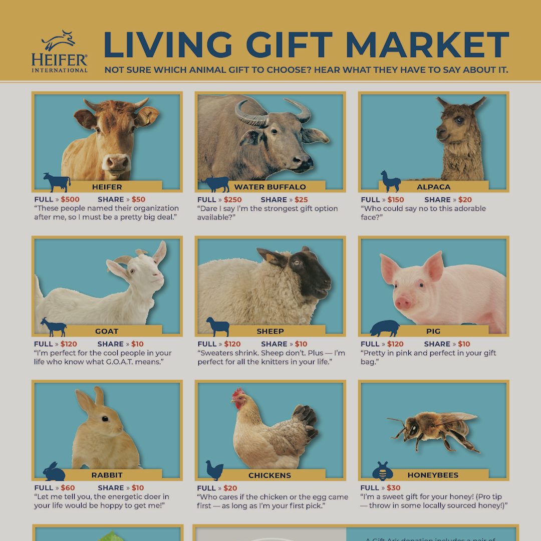 Living Gift Market Poster — Animal Puns | Heifer International