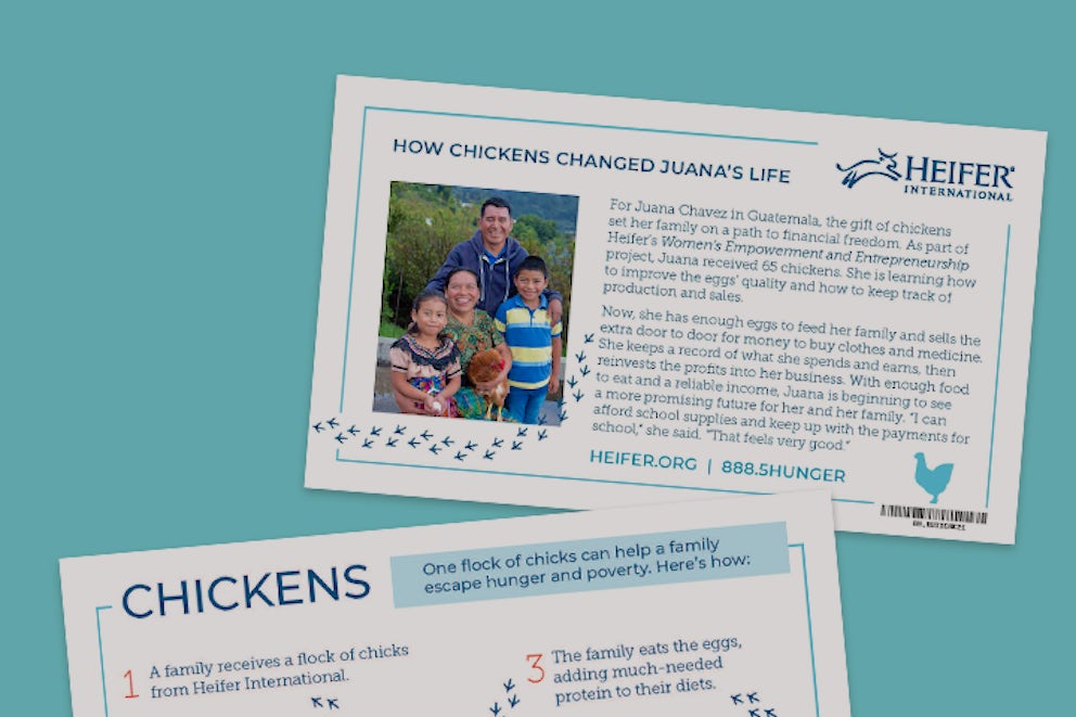 The chicken animal card.