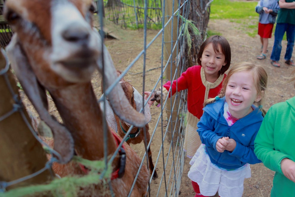 two girls smiling at a goat