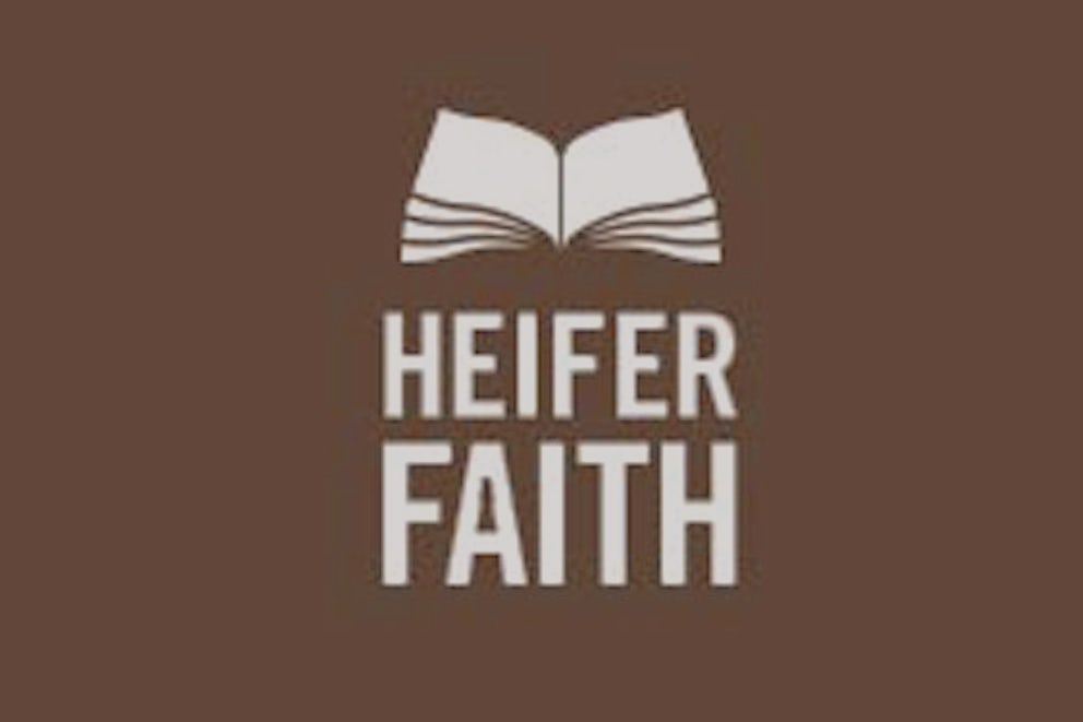 Faith Lessons