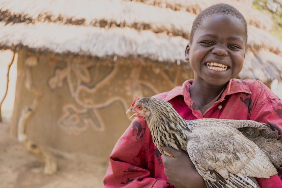 kid holding a chicken