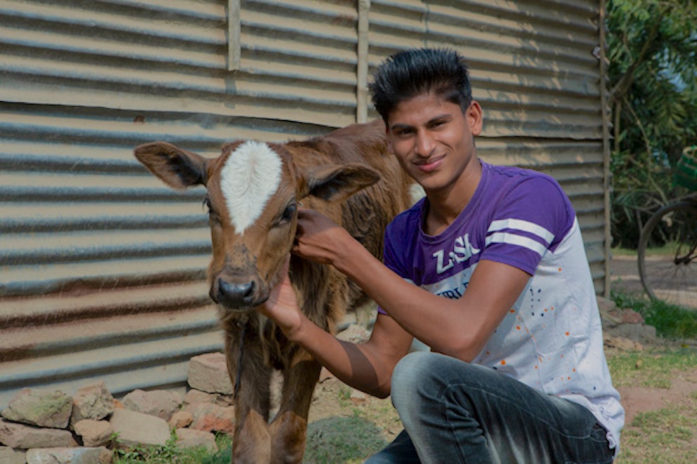 teen kneeling down next to a cow