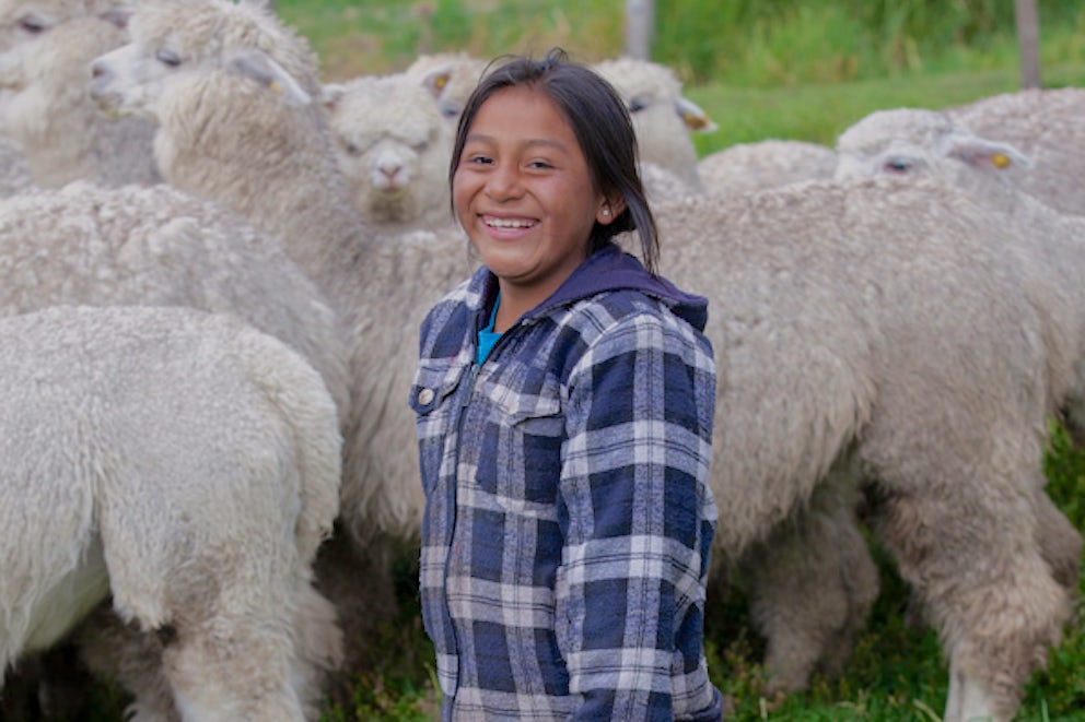 teen standing in front of herd of alpacas