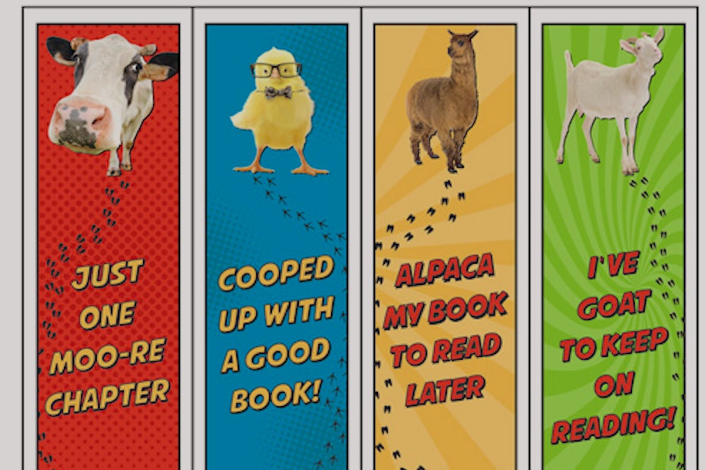 Read to Feed Bookmarks download