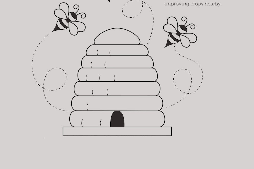 Read to Feed honeybee coloring page