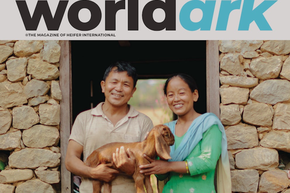 World Ark 2020 Summer Issue Cover.